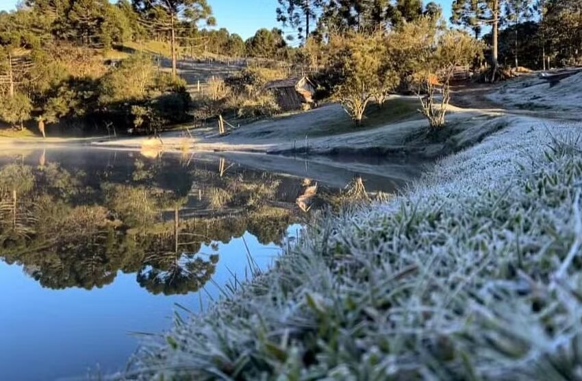  Novo recorde de frio no Paraná em 2024 com -3,9°C