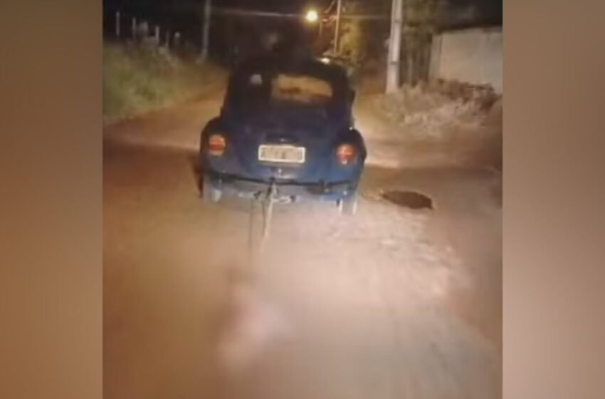  Motorista é detido após amarrar cachorro em carro e arrastá-lo pela rua