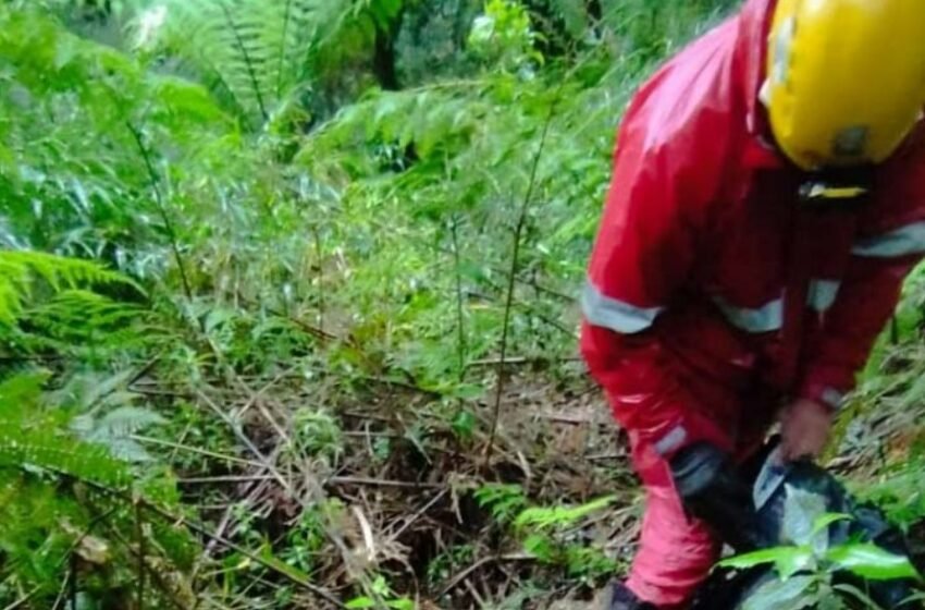  Jovens que estavam perdidos em trilha são localizados pelo Corpo de Bombeiros