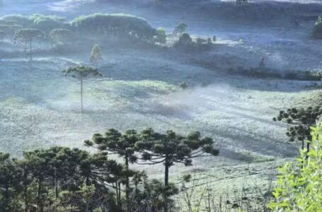 Santa Catarina tem campos com geada e temperatura abaixo de 5ºC em pleno verão