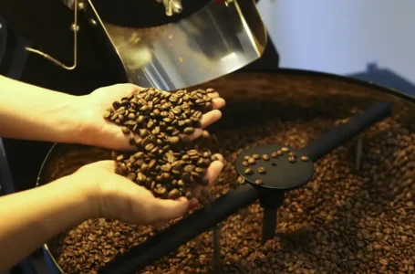 Brasil atinge recorde com exportação de 46 milhões de sacas de café em 2024