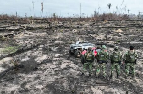 AGU exige R$ 76 milhões de infratores que promoveram a destruição de 6,8 mil hectares em diversos estados